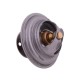 Termostat 4224639M1 LANDINI POLMO 4224639M1P | Exvi