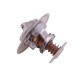 Termostat 218039A1 Case POLMO 218039A1P | Exvi