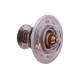 Termostat 218039A1 Case POLMO 218039A1P | Exvi