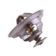 Termostat 130100060706 Case POLMO 130100060706P | Exvi