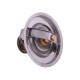 Termostat 130100060706 Case POLMO 130100060706P | Exvi