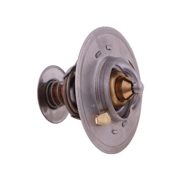 Termostat 2856543 Steyr. New Holland. Case 2856543P | Exvi