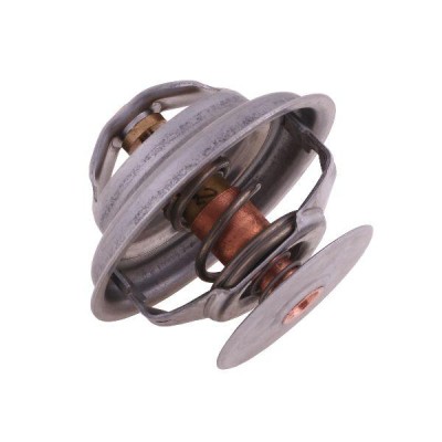 Termostat 162000060702 Case POLMO 162000060702P | Exvi