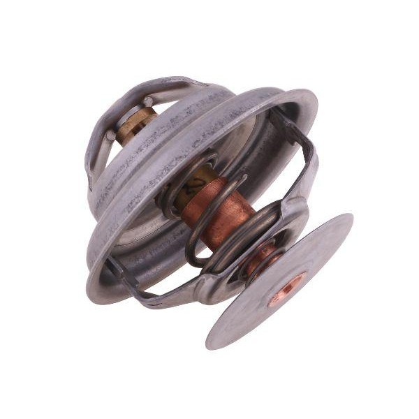 Termostat 162000060702 Case POLMO 162000060702P | Exvi