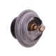 Termostat 162000060702 Case POLMO 162000060702P | Exvi