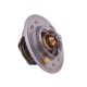 Termostat 162000060701 Case POLMO 162000060701P | Exvi