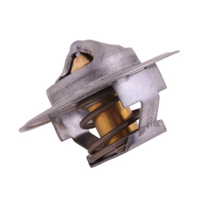 Termostat 895311H1 Landini Case POLMO 895311H1P | Exvi