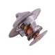 Termostat 0.007.1258.3 Deutz POLMO 00071258320P | Exvi