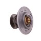 Termostat 0.007.1258.3 Deutz POLMO 00071258320P | Exvi