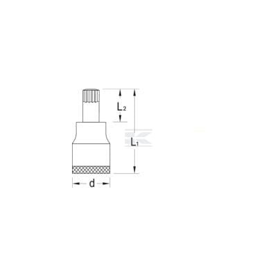 Nasadka Torx XZN 1/2" 14 mm DPINX1914 | Exvi