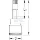 Nasadka Torx przedłużana 12 kt. 1/2" DPINX19L14100 | Exvi