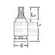 Klucz nasadowy udarowy 1/2" Torx® DPITXK19T40 | Exvi