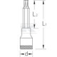 Nasadka wkrętak przedłużany 3/8" TORX ITX30LT25GED | Exvi