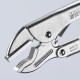 Szczypce uniwersalne 250 mm Knipex TA4004250 | Exvi