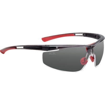 Okulary ochr. Adaptec Reg. szare 1030754HS | Exvi