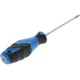 Wkrętak Torx Gedore, T25x100 mm SC2163BTXT25 | Exvi