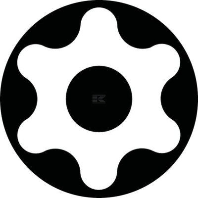Bity M10 do Torx 45 66151504530 | Exvi