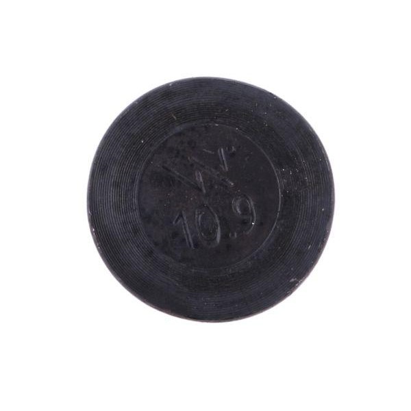 Śruba kpl. płużna podsadzana D 608 6081012110 | Exvi
