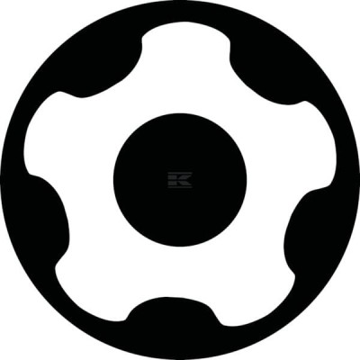 Bit do śrub z łbem Torx Plus® Tamper EXRP115 | Exvi