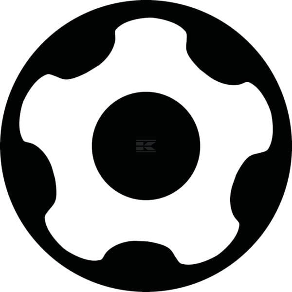 Bit do śrub z łbem Torx Plus® Tamper EXRP130 | Exvi