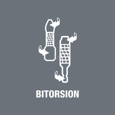 Bit płaski przedłużany 1/4" BiTorsion Wera SC056066 | Exvi