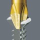Bit Premium 1/4" Torx Wera, T25x25 SC8671BDCTX25 | Exvi