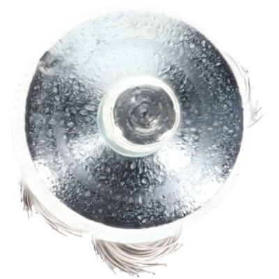 Szczotka końcowa D 20 T29 S6 kn-STW 025 0002630304 | Exvi