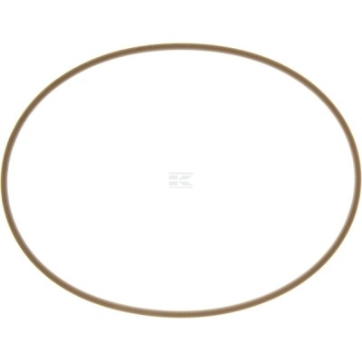 Pierścień uszczelniający 931244 | Exvi