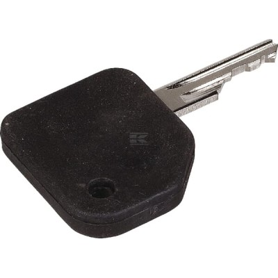 Klucz do stacyjki Zetor 62455770 | Exvi