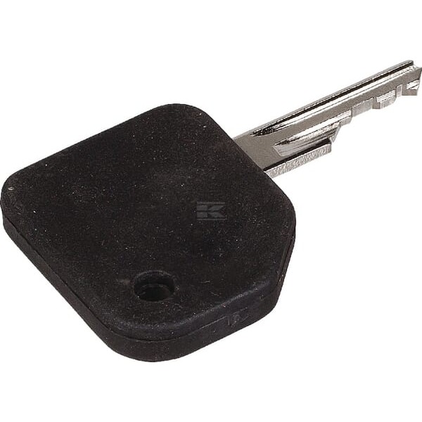 Klucz do stacyjki Zetor 62455770 | Exvi