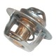 Termostat Zetor 78005077 | Exvi