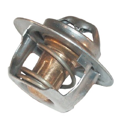 Termostat Zetor 78005077 | Exvi