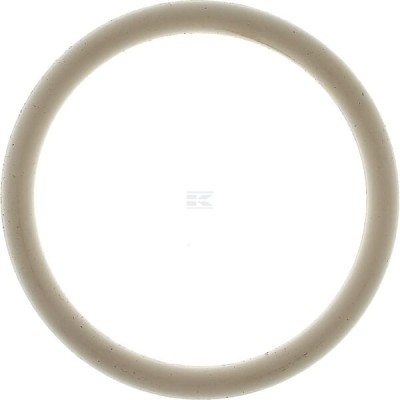 Pierścień uszczelniający 974535 | Exvi