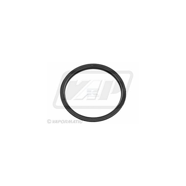 Uszczelka termostatu VPE4393 | Exvi