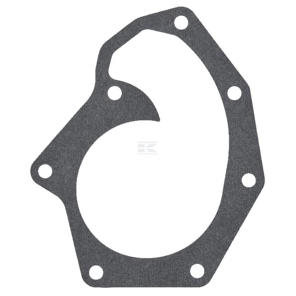 Uszczelka pompy wody R97455 | Exvi