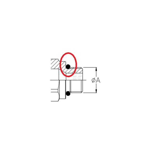 Szybkozłącze gniazdo M22x1.5 3CFHF0812215F | Exvi