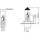 Żarówka H4 12V 60W/55W P43t Kramp B1210 | Exvi