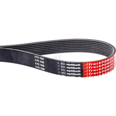 Pas wielorowkowy Optibelt, 8PK2211 | Exvi
