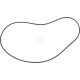O-ring, CNH 71452157 | Exvi