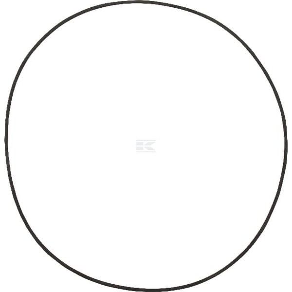 Pierścień uszczelniający o-ring 001051037 | Exvi