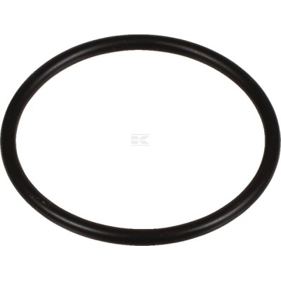 Pierścień uszczelniający o-ring 001051423 | Exvi