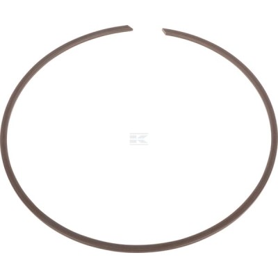Pierścień zabezpieczający 002063193 | Exvi
