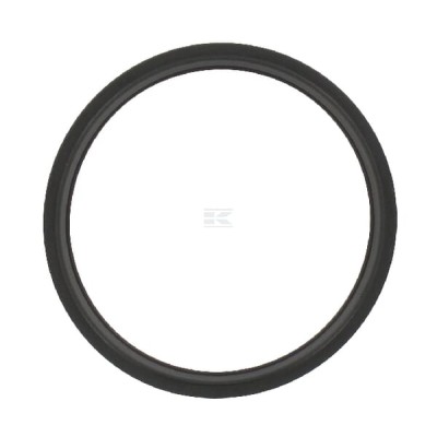 Uszczelka termostatu R521548 | Exvi
