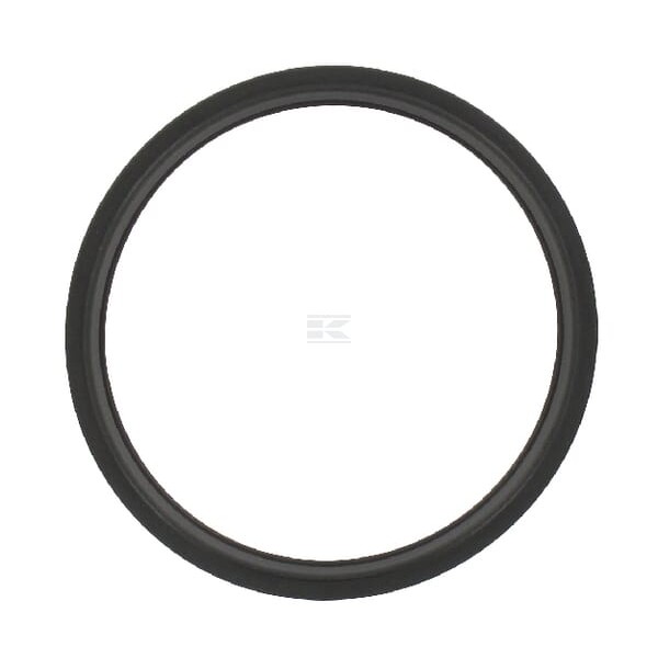 Uszczelka termostatu R521548 | Exvi