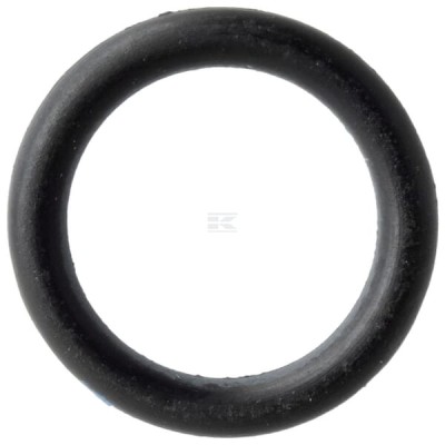 Pierścień uszczelniający o-ring przewodu T77613 | Exvi