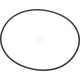 Pierścień uszczelniający o-ring 1120700802 | Exvi