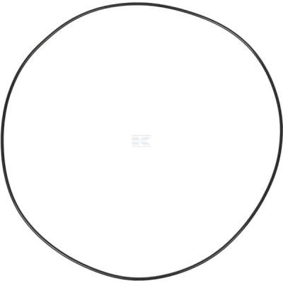 Pierścień uszczelniający o-ring CI028668 | Exvi