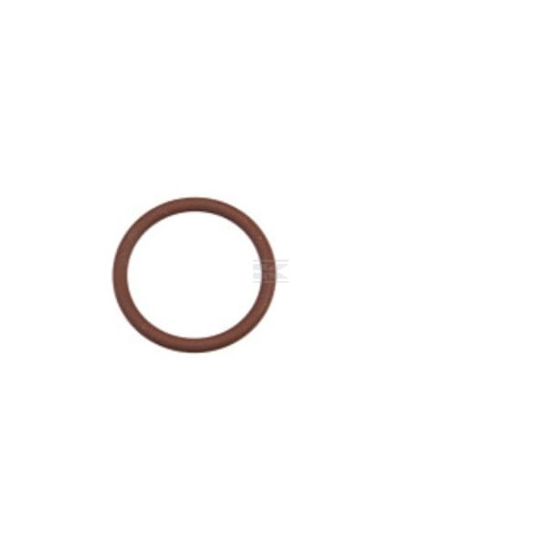 Pierścień uszczelniający o-ring 17289081FPT | Exvi