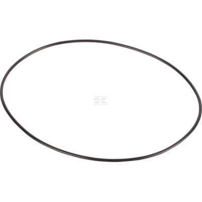 Pierścień uszczelniający o-ring CI028508 | Exvi