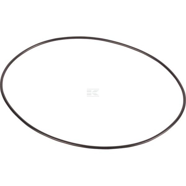 Pierścień uszczelniający o-ring CI028508 | Exvi